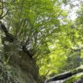 夏を満喫 夏を満喫