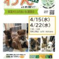 【保護犬譲渡会のお知らせ】4/15 犬猫ライフさまがご来場🐶🐾