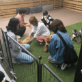 【ドッグカフェ・アドリアーノ】ワンちゃんと一緒に楽しむカフェ時間🐾🐶