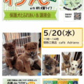 【アドリアーノ・ワンデイ】5/20イベントのお知らせ🐶🐾
